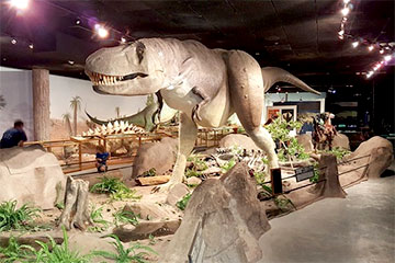 Las Vegas Natural History Museum