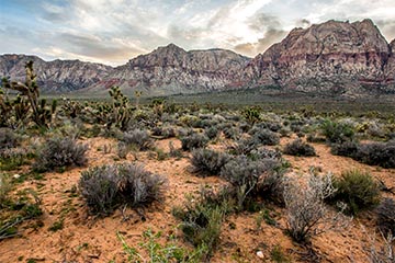 Red Rock Canyon National Conservation Area